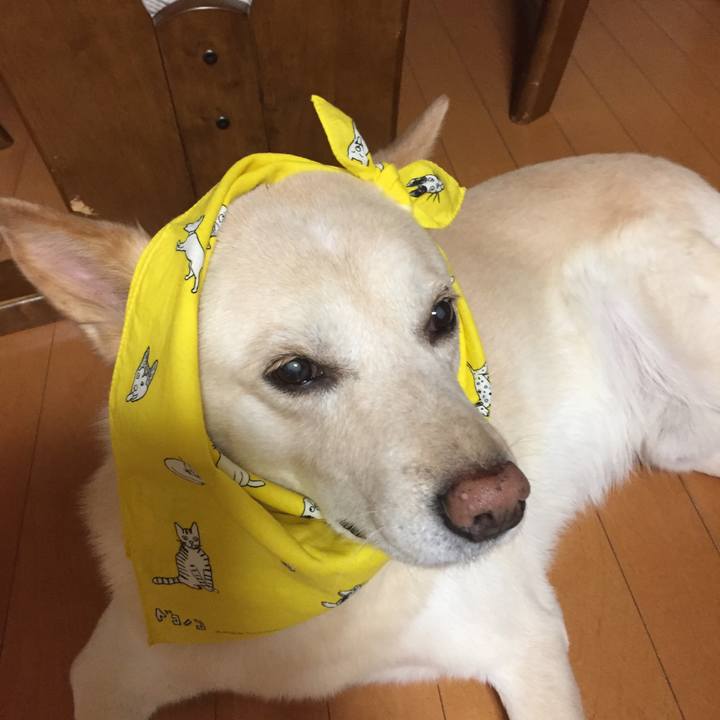 84993291 b44c 44a1 973a e3588b763acd