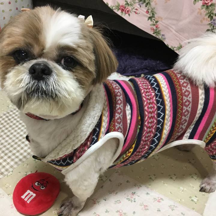 849993ab 9c6a 48bb 82f3 283d061a152c