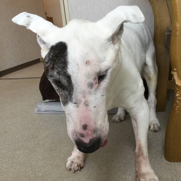 849a3aea c024 4d6c 87d3 0e10f47d4224