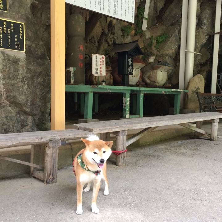 849aa02f 9dc8 443f b705 c1286391b527