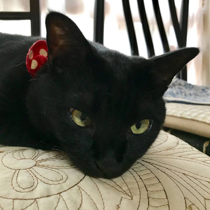 849ad89b af73 45d9 a4bb d86c5d461106