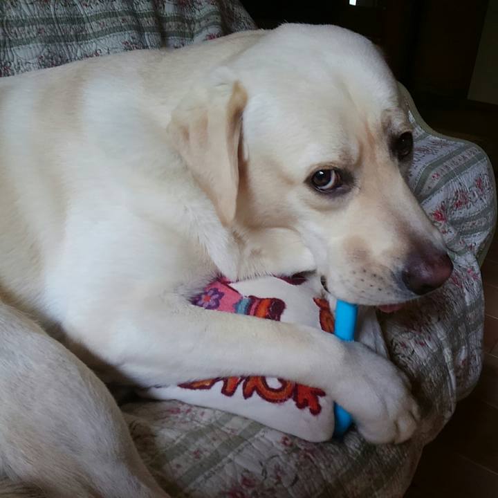 849adee3 6514 41f6 852a 7c44f5d4c55c