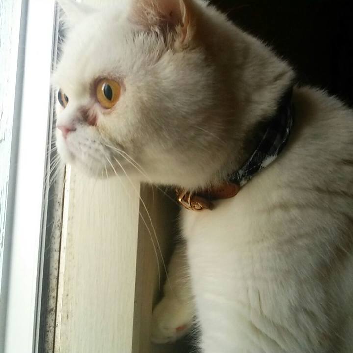 849afc39 0798 4ddc a9d3 097514fa6e65