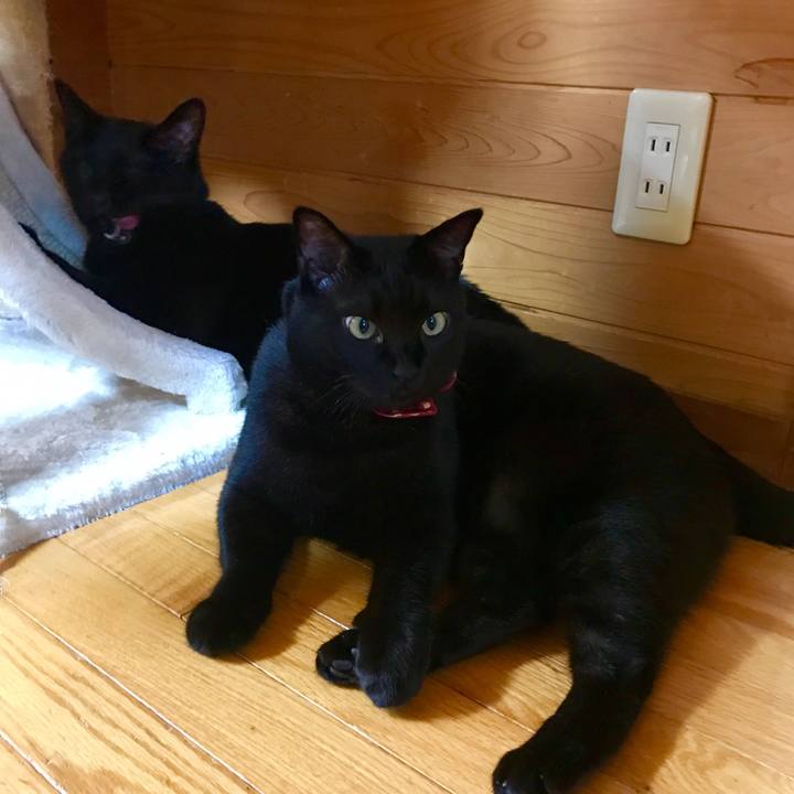 849ba4e2 d51e 4c4d 97d3 5db5cd778d26