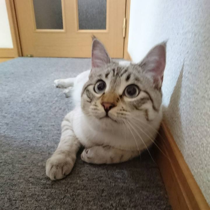 849bade4 c547 4ed5 85a9 fe7a5d9da966