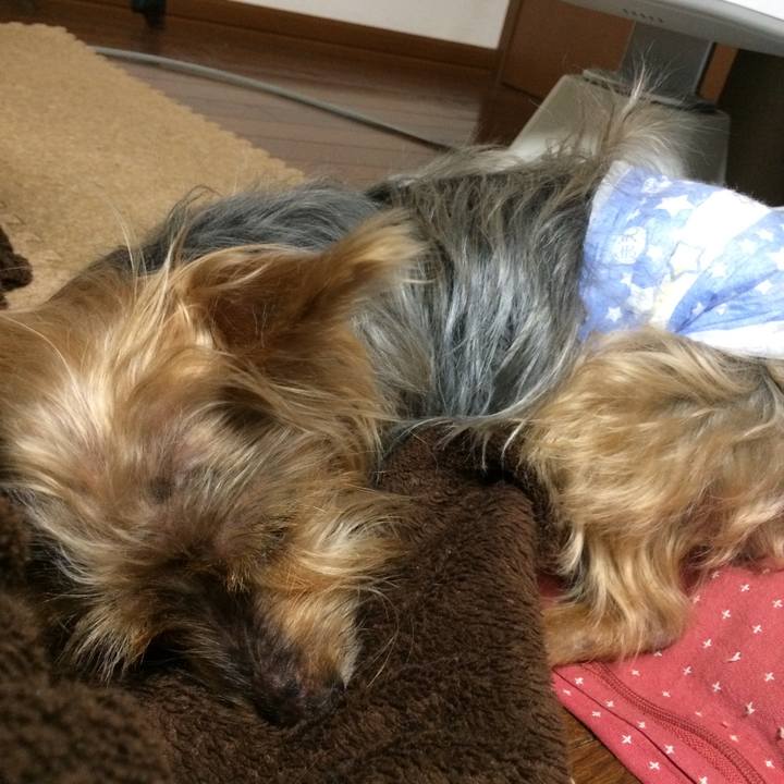 849c3042 9c8b 41a9 b105 86c9fc399dee