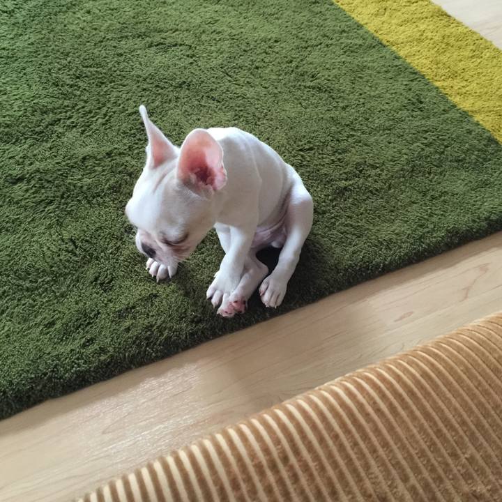 849c6ee4 dcd1 4515 b800 d69e3ba4bbc6