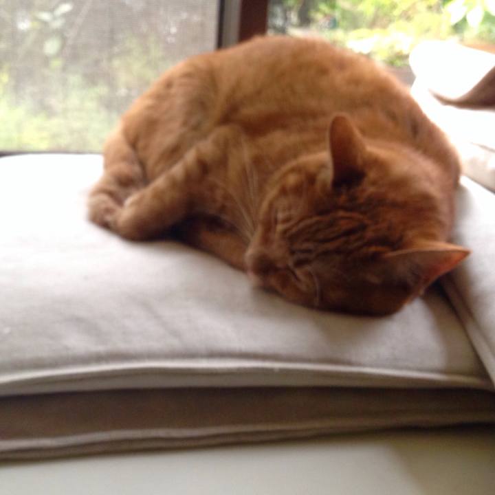 849cadf6 ff15 44a6 9618 47917f12f2f8