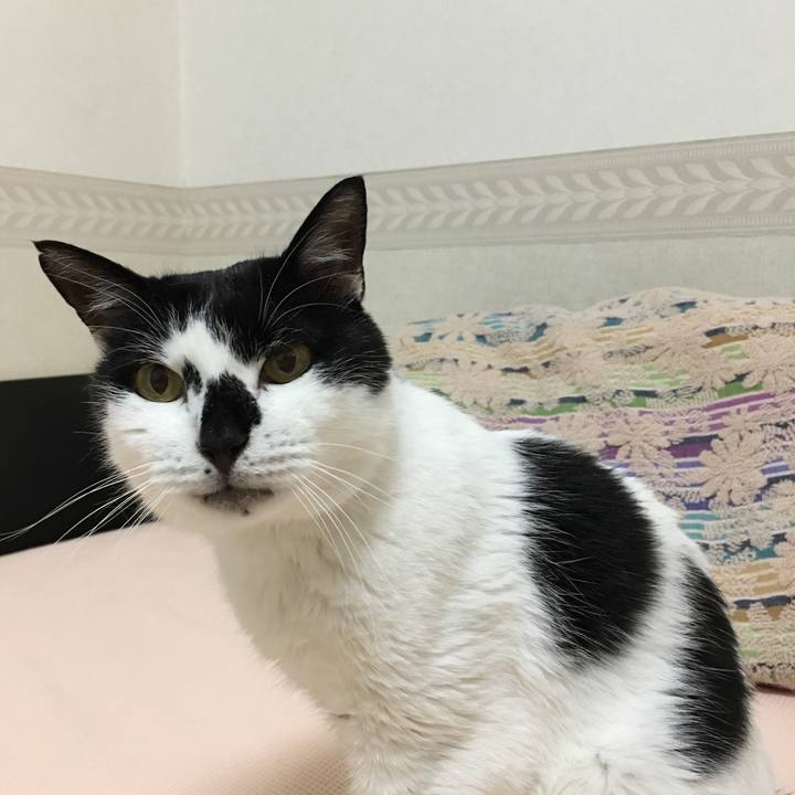 849d5569 f26f 4ac9 a000 f6ef831a29a3