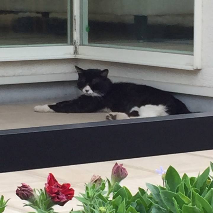 849e868a 2847 4d1f a4e7 42423a9c2afb