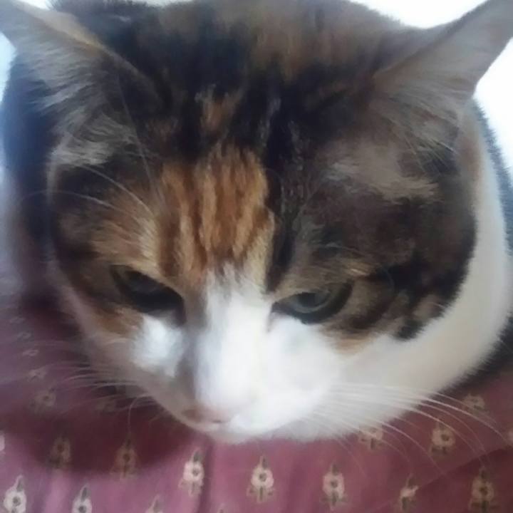 849ee633 6b3f 4486 af38 c40dce99c0a3