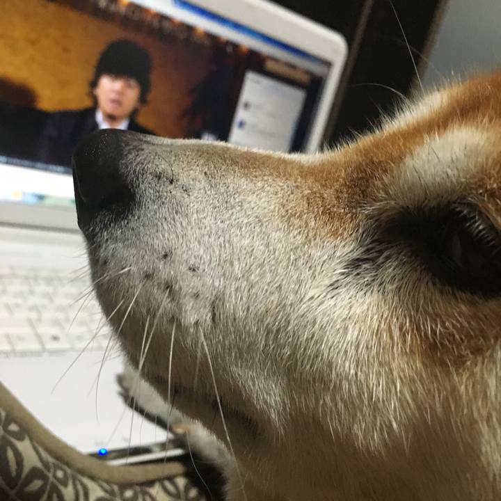 849f892c 3799 4004 bf18 13f33ab86ca7