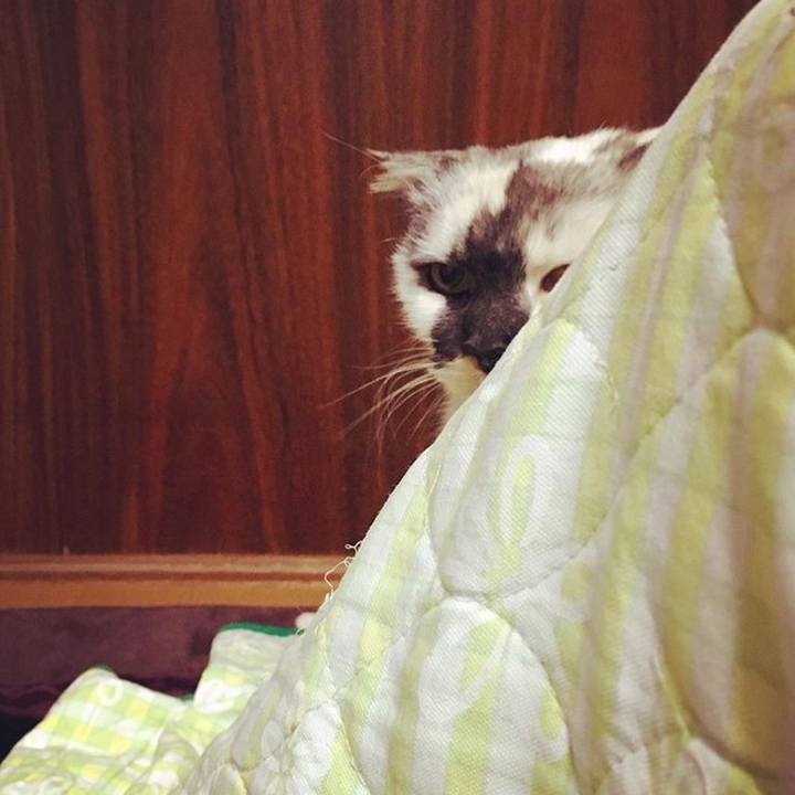 849f8b13 f9a5 426e 9977 fb4013bb54c8