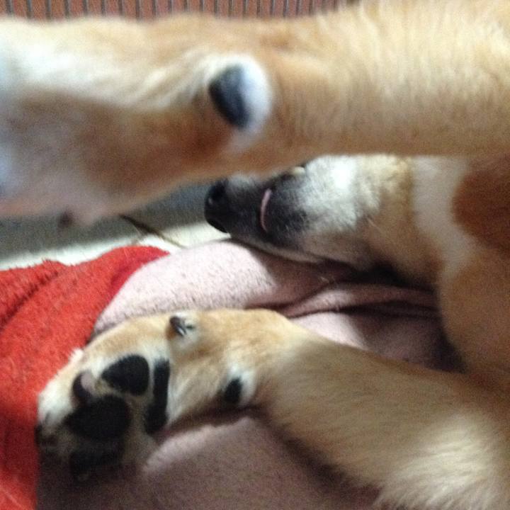 849f9610 e14d 4308 a453 80c3ec8eb9fb