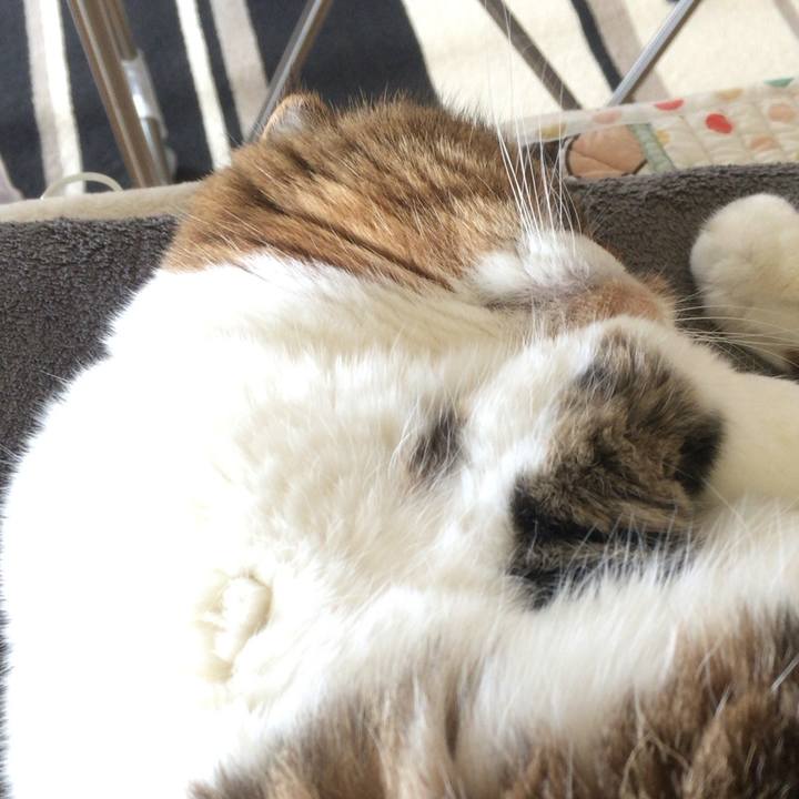 849faeb8 b08b 4a1e 884c 085bc7dd0d3a