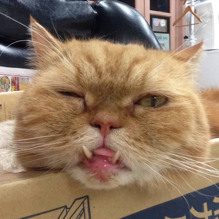 849fb71f e4ab 4020 9273 b5909e76aef4