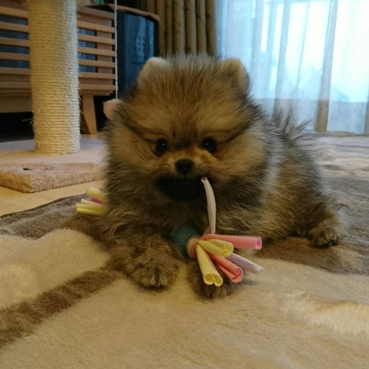 84a00bce 9054 499b b062 39538fe21198