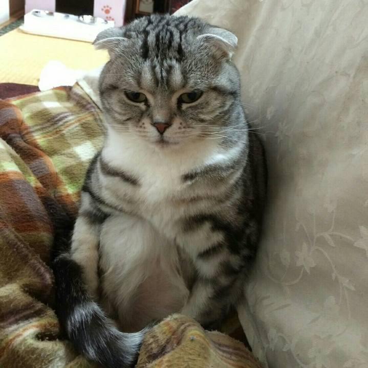 84a027c2 a0c1 40da 84d7 66c216b3a669