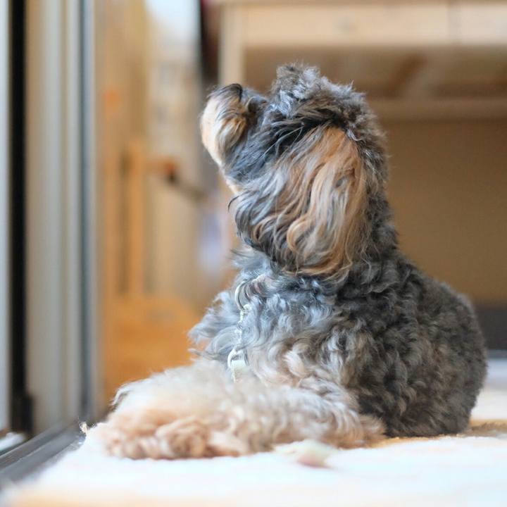 84a082fc 7525 448f b516 4338cb643179