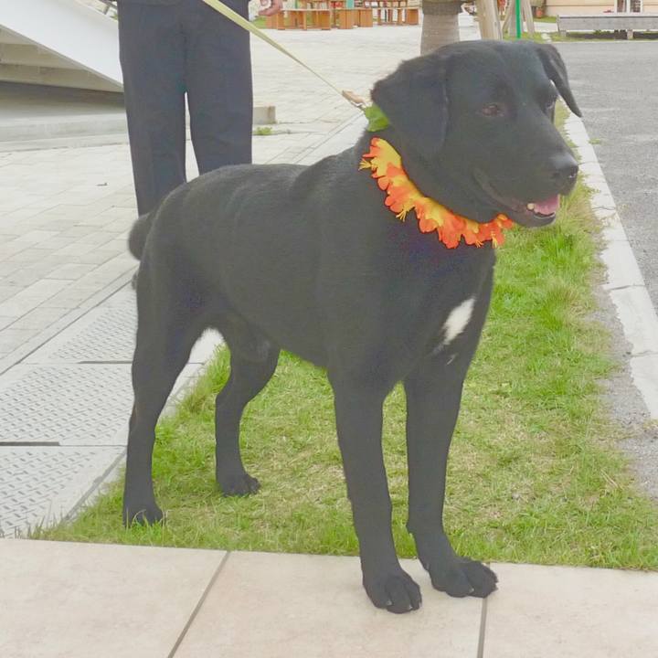 84a0996a 6808 47f0 9a34 075e604cdd26