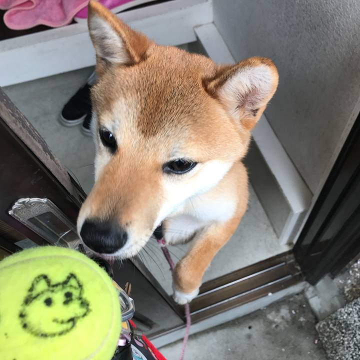 84a0e69a 4752 4bf4 b6f2 36e9be8de643