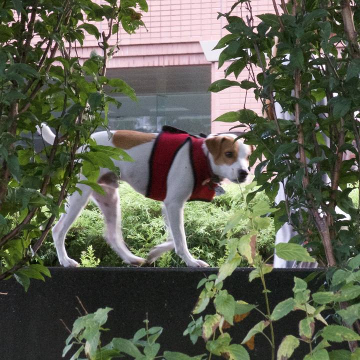 84a185bf 04a7 4048 b72c 87ce89652fab