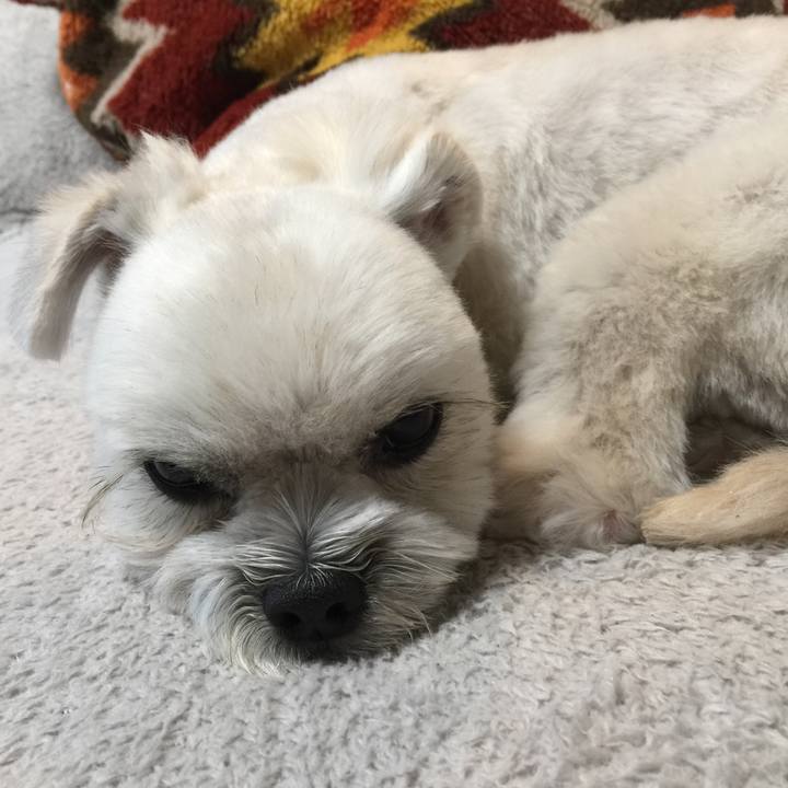 84a18a4d f2ec 4514 8b83 362049260607