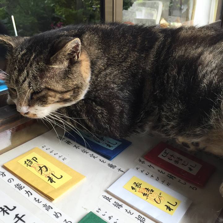 84a1b0a6 dcb8 4ed8 a36d 80be3ccf8e77