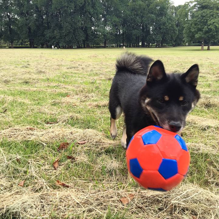 84a1ef4b fb81 4334 bba3 52ee07f5da7a