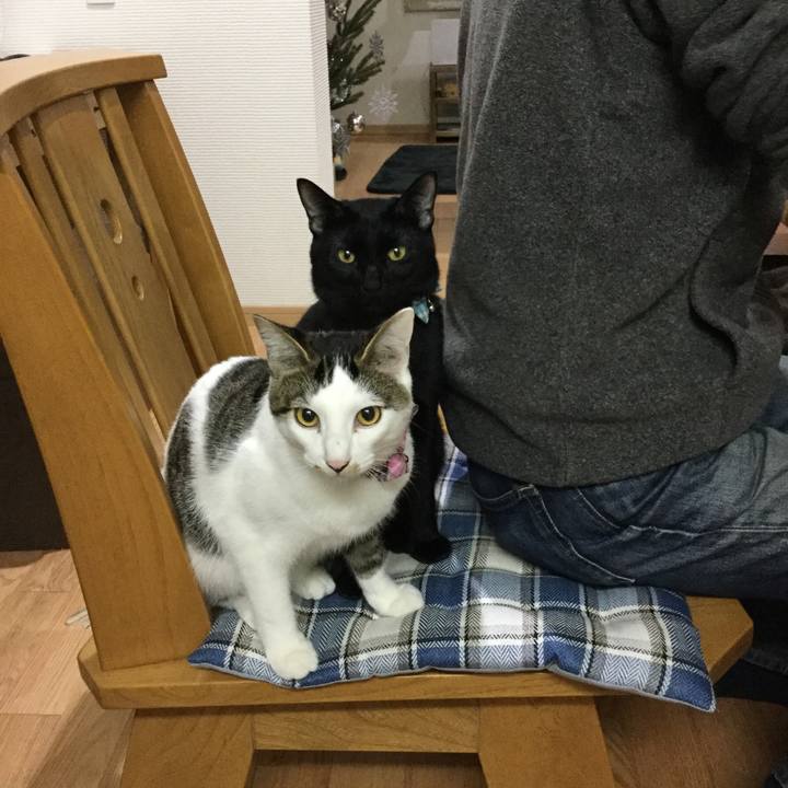 84a2444b 10e1 4d69 8ef4 190450b25f14