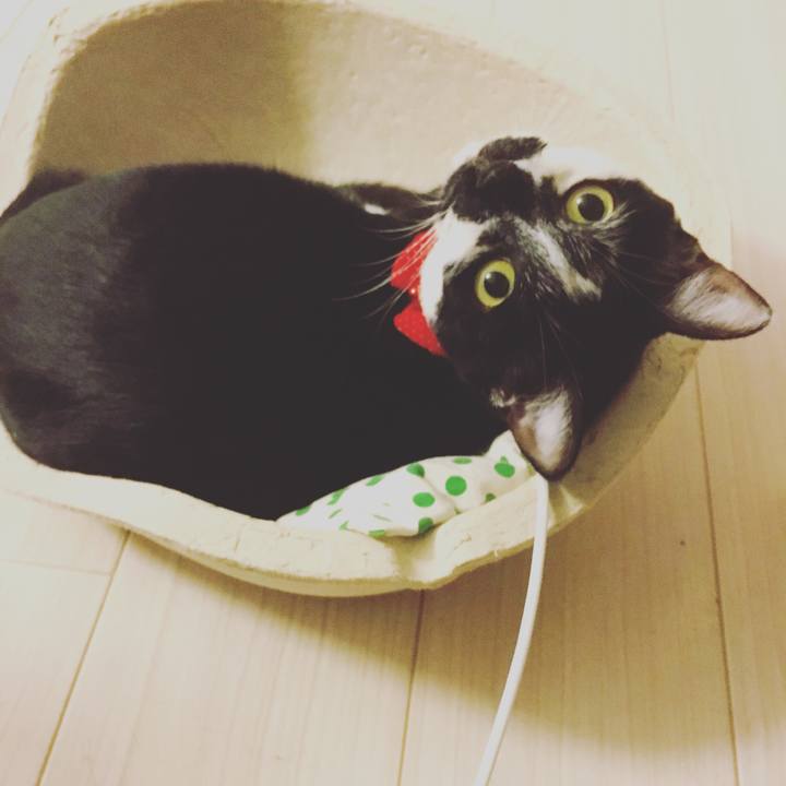 84a24c00 7f36 4d8a 8493 0c0cc327f048