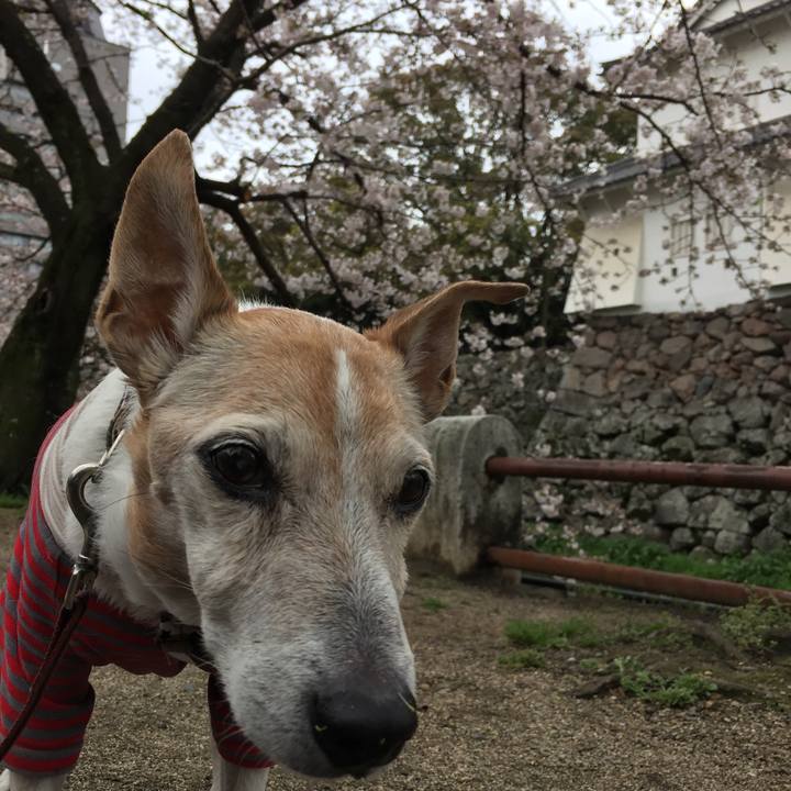 84a25382 42c4 48be 805a 07e86638fe65