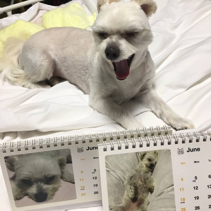 84a28b6c c3c4 4eba a226 5051e6ae69a9