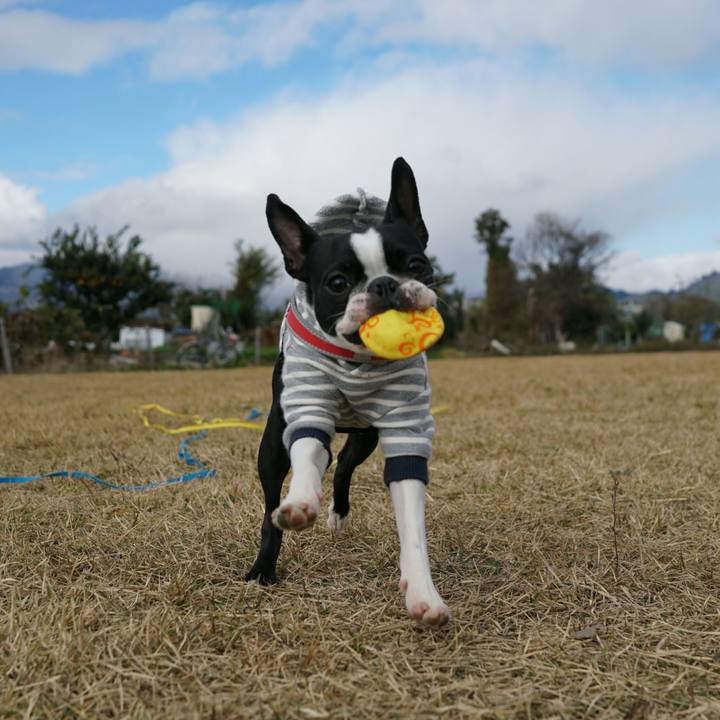 84a2cbe3 6b0d 4164 b3a9 6cf50d01862f