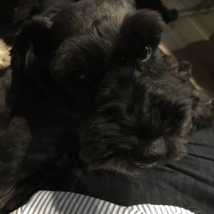 84a35846 016b 44d7 857c 575745eea012