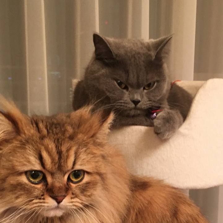 84a37313 5513 4a2c b772 bd6b1d490210