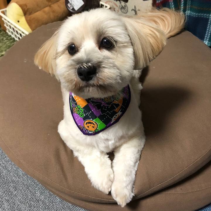 84a41155 1ea2 48b6 89e1 33a637601fb3