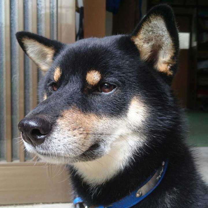 84a441d4 c4f8 45ac bb66 c7b3ff658ae9