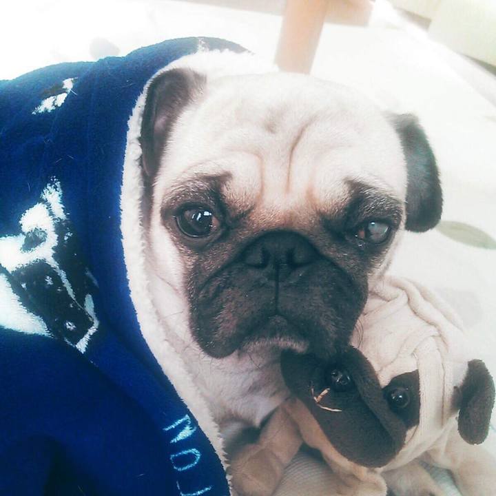 84a45d87 6ca2 4a1b b0a2 b2f228b2cb9c