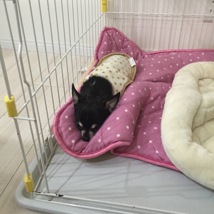 84a48529 62e1 467e b8c4 8ec0250d5a55