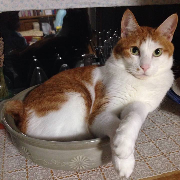 84a4b8d3 4e2b 40c1 b0f6 19c4215a5018