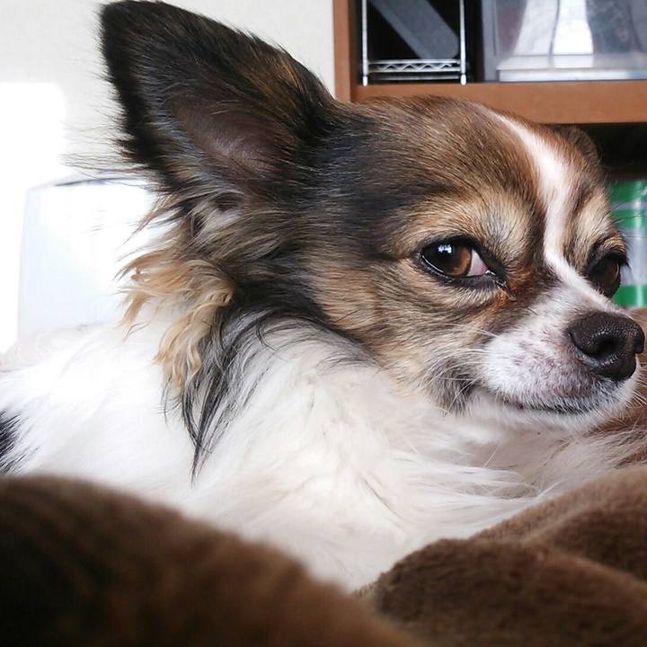 84a4fedf a877 4af8 98e4 cd2af34221e2