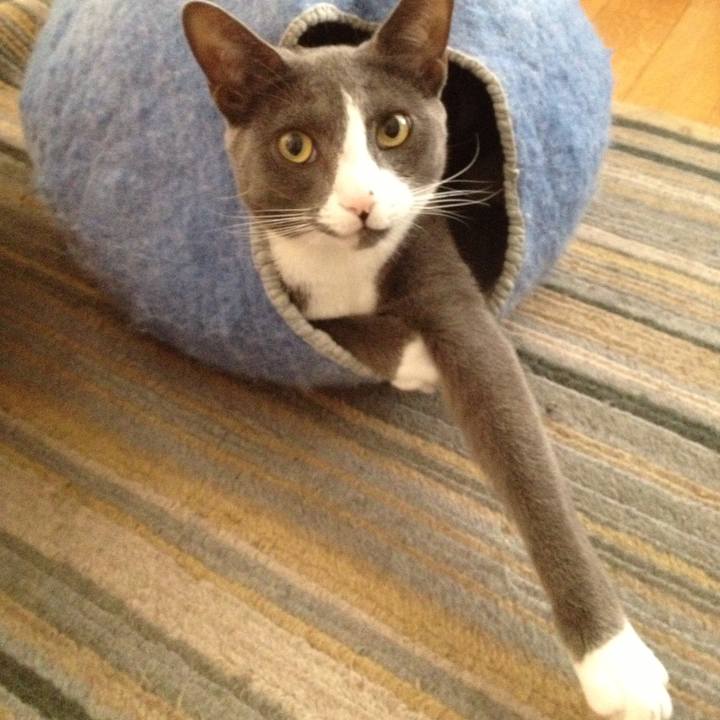 84a5102e b3a9 4650 b42e 8f9af9db10cf