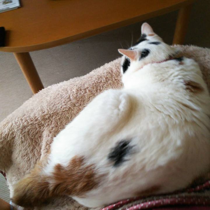 84a5cc1c 8292 4276 ac8e e2650e364502