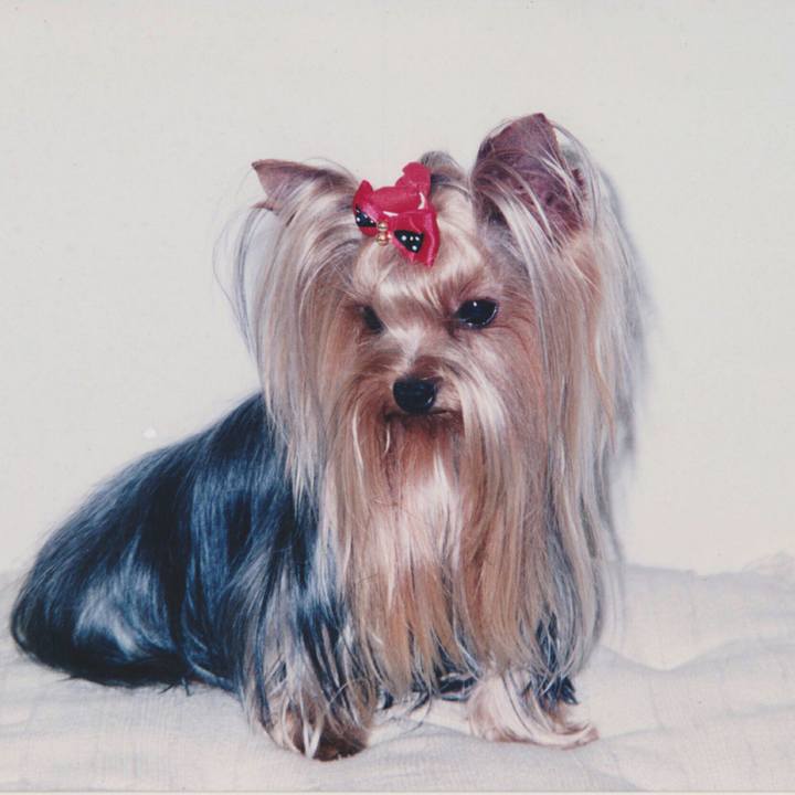 84a5e2ec 8506 4a70 ab3c fff9cc667a82