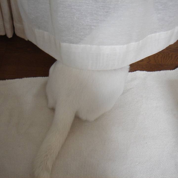 84a663b6 5d7e 4260 b97e 101b657ff5ee