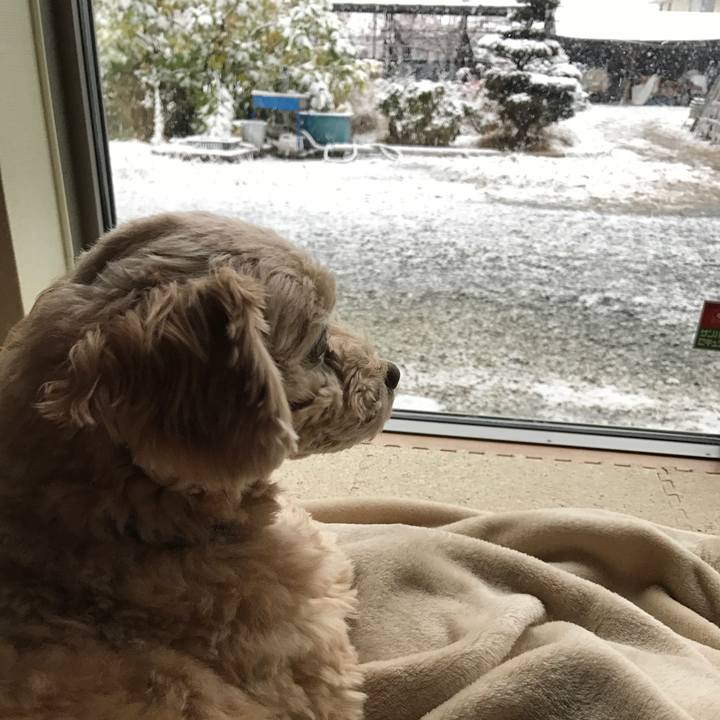 84a66676 d8de 42e7 8bc8 167a09d5a95f