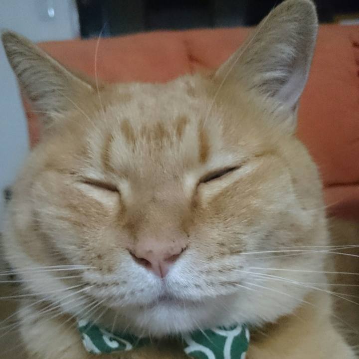 84a777ce ab06 4f08 b2b1 33636c9108bc