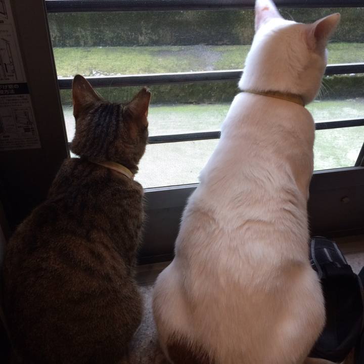 84a832ec c045 43a9 9852 807e76d860b9