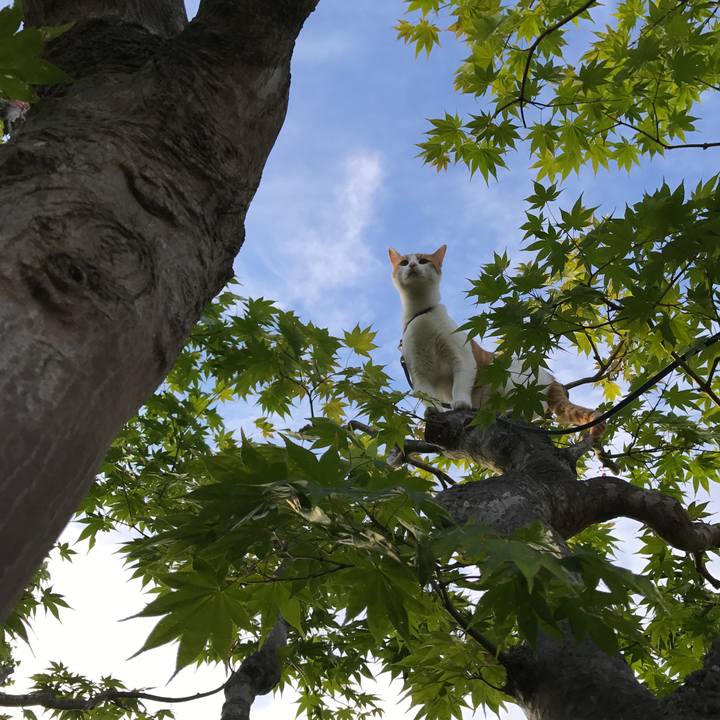 84a8e518 b150 470c 9631 d13d519771be